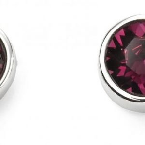 February Birthstone Stud Earrings