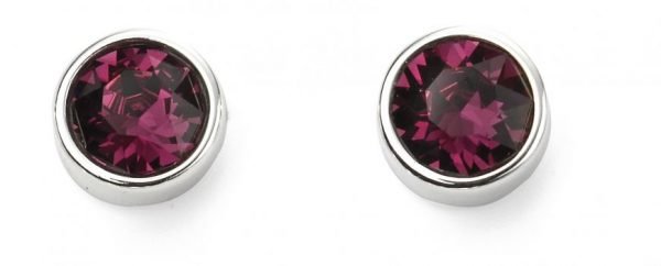 February Birthstone Stud Earrings