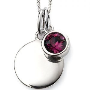 February Birthstone & Silver Disc Necklace