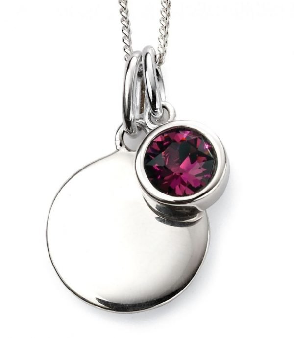 February Birthstone & Silver Disc Necklace