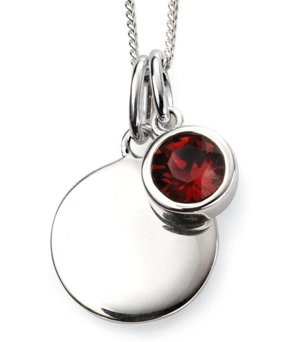 January Birthstone & Silver Disc Necklace