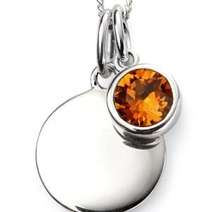 November Birthstone & Silver Disc Necklace