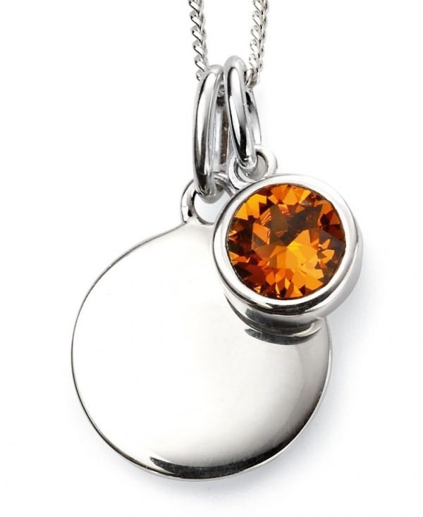 November Birthstone & Silver Disc Necklace