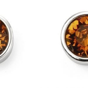 November Birthstone Stud Earrings