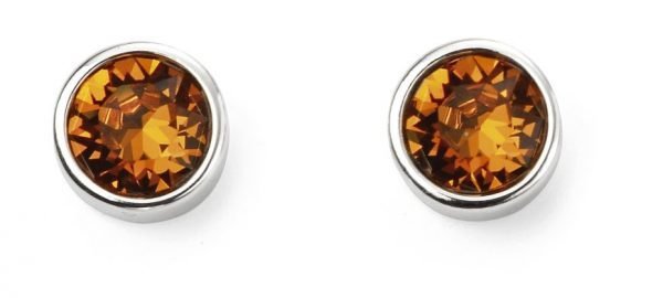 November Birthstone Stud Earrings